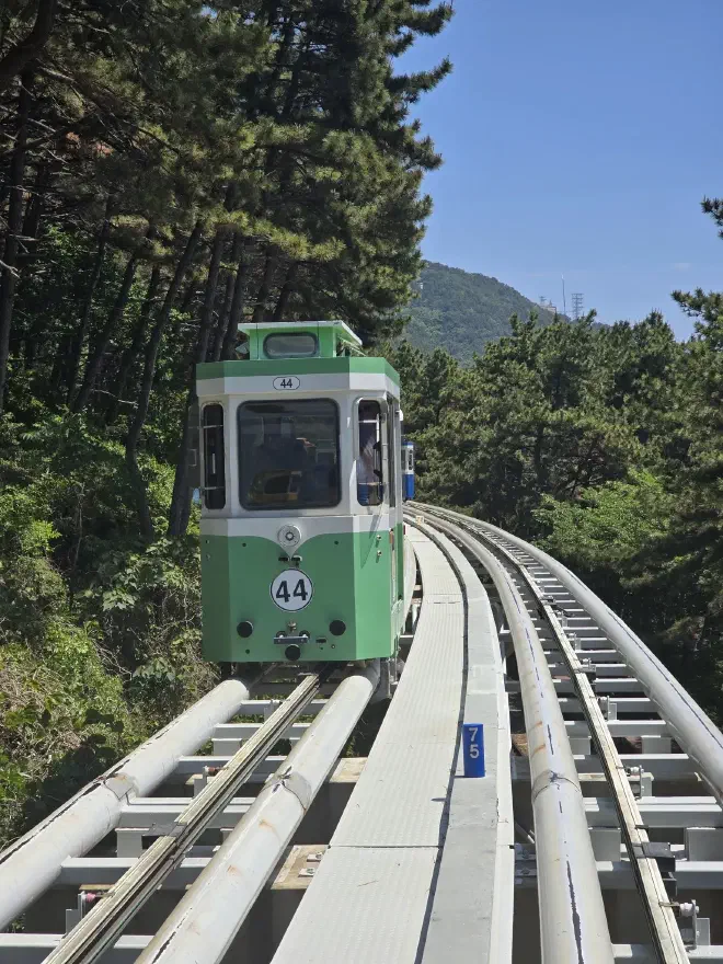 A green cab sits on elevated rails with forest either side