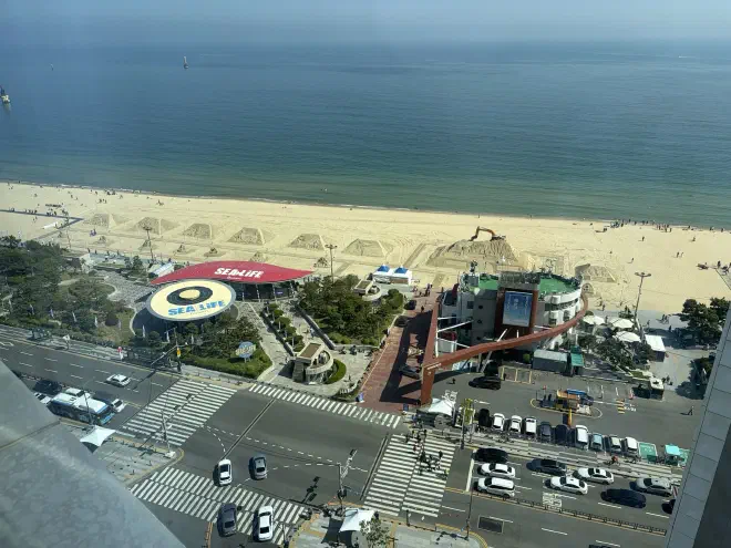 A birds-eye view of a four lane road, a 'Seal Life' center, and a beach