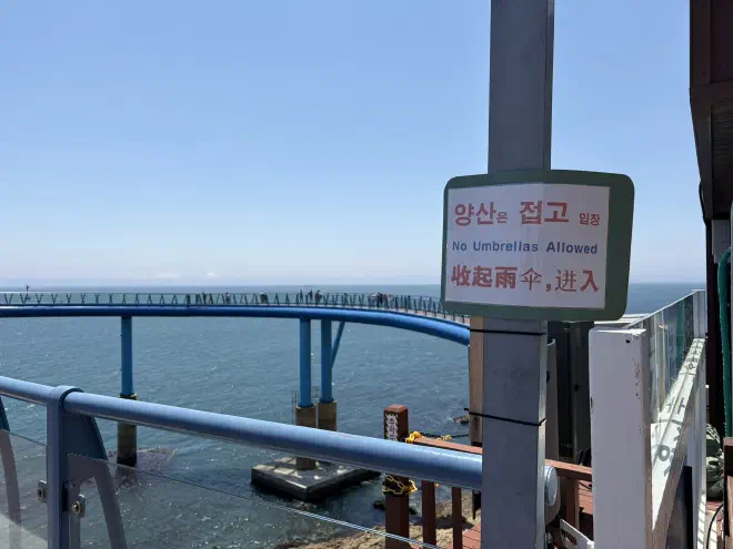 A blue metal walkway on posts sits above the ocean with people walking along it and a sign in the foreground says 'No umbrellas allowed'