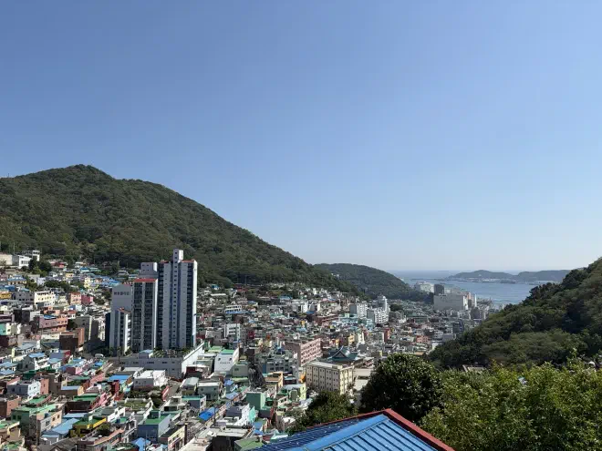 A city filled with different coloured buildings sprawling up a hillside and down towards the ocean in the background